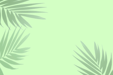 Creative layout made of shadow tropical leaves on green background. Minimal summer exotic concept...