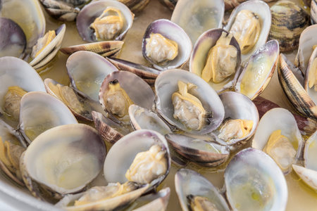 Freshly cooked opened clams shell in a plate.の写真素材