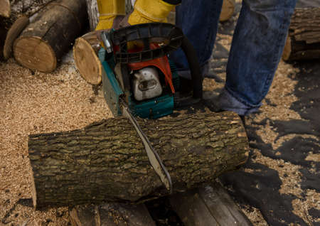 Lumberman using chainsaw sawing dry wood lying on ground.の写真素材