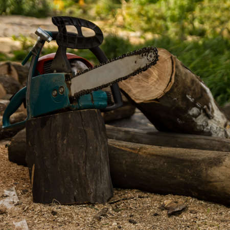 Lumberman using chainsaw sawing dry wood lying on ground.
