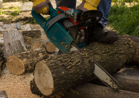 chainsaw on the background of sawn logs. firewood for the winterの写真素材