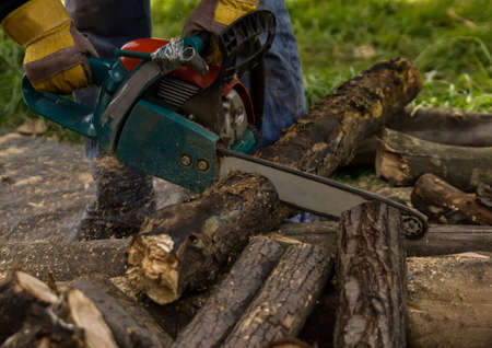 Lumberman using chainsaw sawing dry wood lying on ground.の写真素材