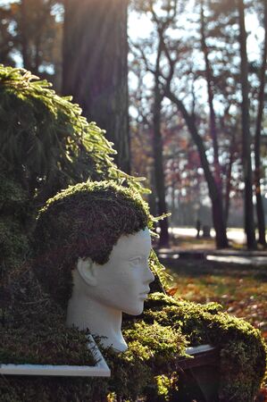 Floristics installation. Moss decoration. Head decorated by mossの写真素材