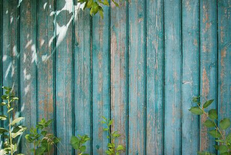 green wooden background, planks with tree and bush leavesの写真素材