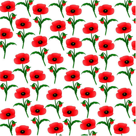 a pattern of poppies with stemsのイラスト素材