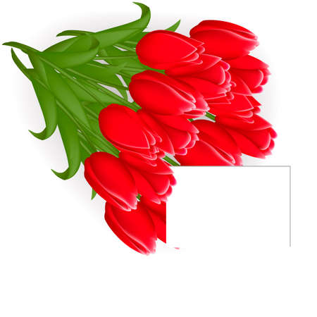 Happy women day tulips bouquet Vector beautiful card backgrounds. A bouquet of tulips with a cardのイラスト素材