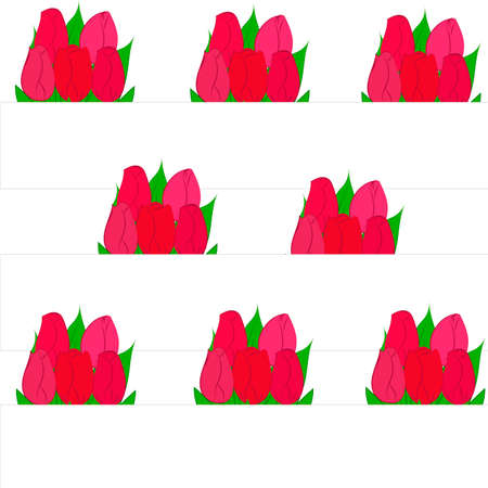 Three rows of colorful tulips on a white background.のイラスト素材