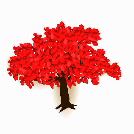 autumn tree for your design, vector imageのイラスト素材
