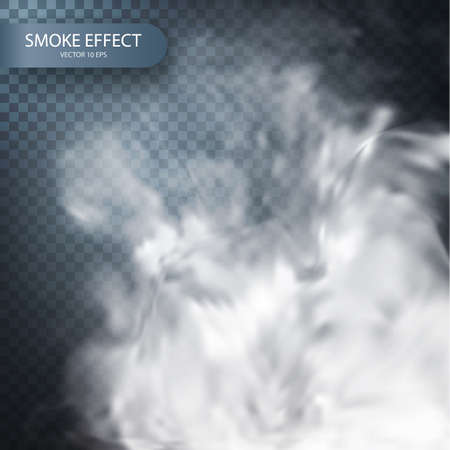 Transparent vector background realistic.Cloud vector.のイラスト素材