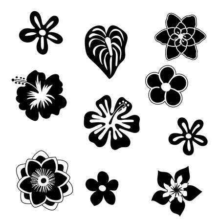 Tropical flowers silhouette elements set isolated on white background. Vector illustration in black and white colors EPS10.のイラスト素材