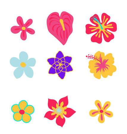 Tropical flowers vector set hand drawn icons. Palm leaf, banana leaf jungle trees botanical floral illustration.のイラスト素材