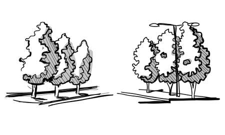 Trees for a landscape design. Different hand drawn trees isolated on white background, sketch, architectural drawing style trees set. Top and front view.のイラスト素材