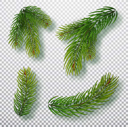 Christmas tree branches set for a Christmas decor. Branches close-up. Collection of Fir Branches. Realistic vector illustration isolated on backgroundのイラスト素材