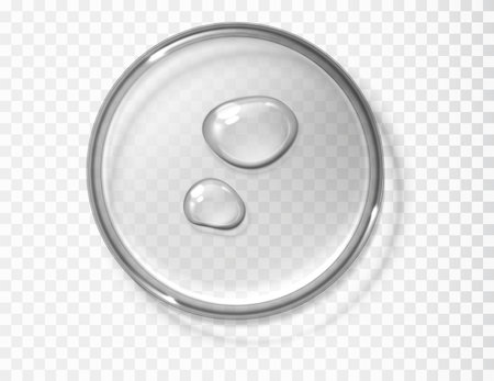Water drops on transparent petri dish isolated realistic vector illustration.Transparent glass round displays, gel texture.のイラスト素材