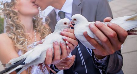 kiss of bride and groom, wedding dovesの写真素材