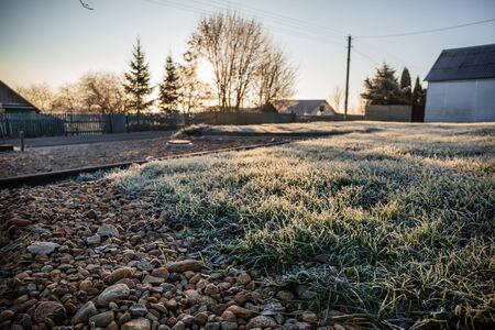 A plot of land with a lawn for the construction of a new house or territory for grazing farm animals in a frosty sunny morningの写真素材