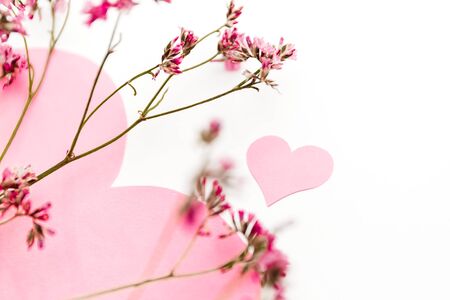 A large pink heart with a place for text decorated with small pink flowers on a white background, symbol of loveの写真素材