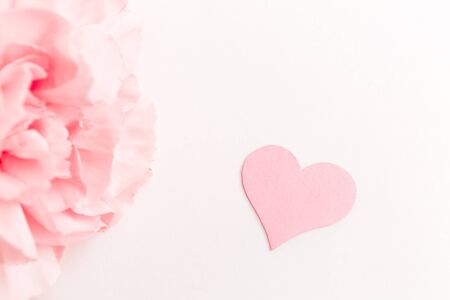 Three pink carnations isolated on white background with heart symbol of love, minimalismの写真素材