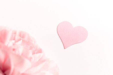 Three pink carnations isolated on white background with heart symbol of love, minimalismの写真素材