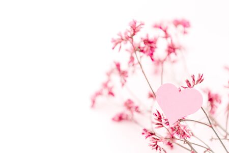 A small pink heart with a place for text decorated with branch of flowers on a white background, symbol of loveの写真素材