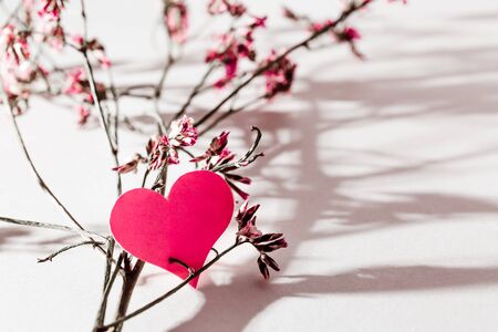 A small pink heart with a place for text decorated with branch of flowers on a white background, symbol of loveの写真素材
