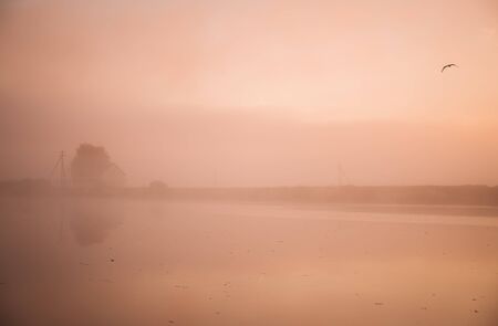 The bird flies in the sky over the lake during the morning fog, and on the shore are a house and a car, which are reflected in the waterの写真素材