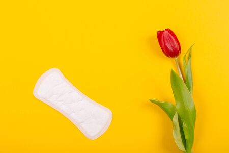 Women's daily sanitary pad with red tulip flower on a yellow background. Girl's secrets. Top view layout. Template.の写真素材