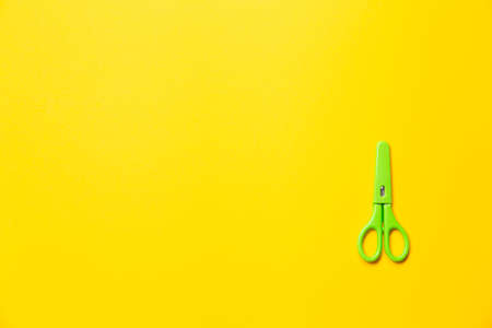 Small green scissors for children's creativity and applique making. Sharp dangerous tool in a case...