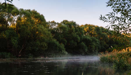 Summer or autumn sunrise over the river. Calm water flow, morning fog and birds flying up. Natural beauty of pristine nature. Water protection zone. Beautiful landscape banner. Card.の写真素材