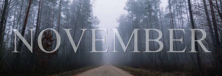 Country road in a misty forest with tall pine trees. Banner with november word. Foggy weather. The...