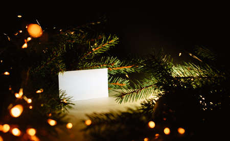Blank business card with christmas tree branches and golden garland lights. New year celebration...