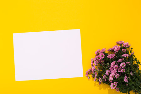 Bouquet of small pink chrysanthemums and white blank sheet on yellow background with copy space. Holiday postcard. Happy Valentine Day February 14. Woman Day March 8. Mother Day May 8. Business card.の写真素材