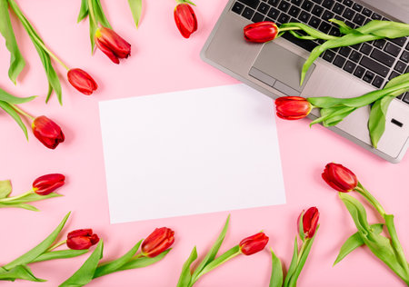 Bouquet of red tulips and white paper sheet on pink background with a laptop on work place. Template for advertising or visualization of blog with copy space. Business card. Holiday certificate.の写真素材