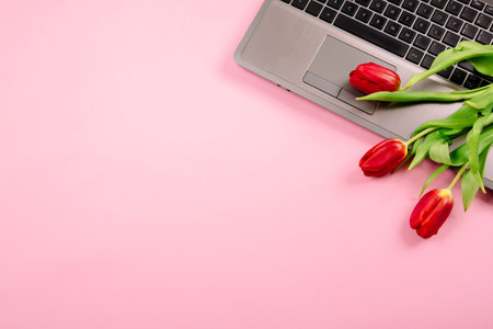 Bouquet of red tulips on pink paper background with a laptop on work place. Template for advertising or visualization of blog with copy space for text. Business card. Holiday certificate. Banner.の写真素材