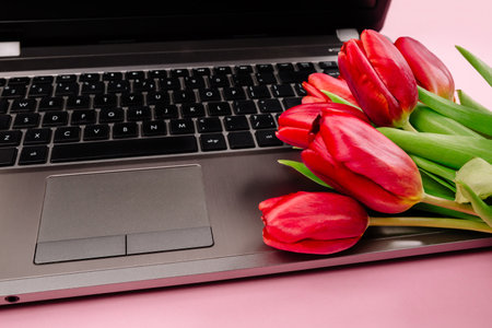 Bouquet of red tulips on pink paper background with a laptop on work place. Template for advertising or visualization of blog with copy space for text. Business card. Holiday certificate. Banner.の写真素材