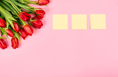 Big holiday red tulip bouquet and clean sticker on a pink background with copy space. Business concept. Tear-off paper for note, reminder or quick temporary message, organizer of thoughts and ideas.の写真素材