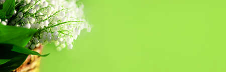 Banner with a beautiful bouquet of lilies of the valley in wicker basket. Green background with copy space, text place. Springtime. May month. Business greeting card. Spring holidays. Shop billboard.の写真素材