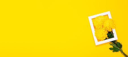 Banner with flower and blank white photo frame on yellow background with copy space, free text...
