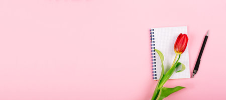 Open spiral notepad with pen and red tulip on pink desk background. Template for advertising or visualization of blog with copy space for text. Business holiday card. Certificate mockup. Top view.の写真素材