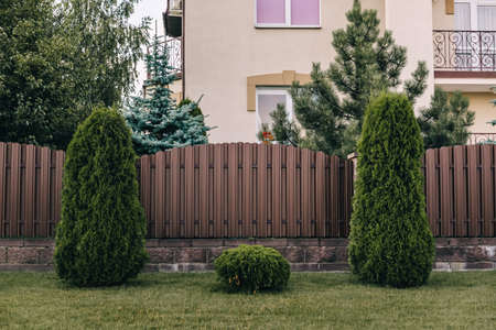 Vertical sections of brown metal profile fence. Live plantings. Green thuja, bushes and lawn. The local area decor. A house and a garden. Landscaping of the territory. Capital fencing. Vacation home.の写真素材