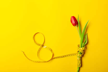 Beautiful postcard with one red tulip and number eight on a yellow background. International woman day March 8. Mother Day May 8. Gift certificate. Mockup. Greeting card. Fitness and slimming concept.の写真素材