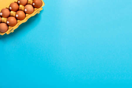 Banner with bunny and an Easter egg on pink background with copy space, empty text place. Christian...