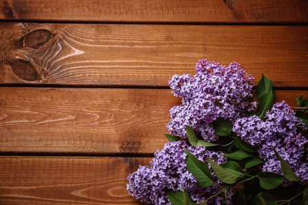 Boarder background with a lush branch of purple lilac with a copy space, empty text place. Top view. Beautiful business gift certificate. Online gardening courses. Springtime postcard. Mockup design.の写真素材
