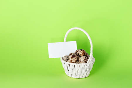White basket with quail eggs on light green paper background with copy space or empty place for text. Easter greeting card. Religious straw decor. Springtime pastel color design. Healthy food product.の写真素材