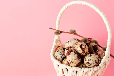 White basket with quail eggs and pussy willow on pink paper background with copy space. Easter holiday greeting card. Religious symbol. Springtime pastel color design. Healthy food. Empty text place.の写真素材