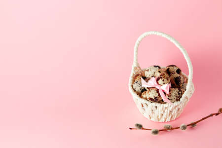 White basket with quail eggs, pink bow and pussy willow on paper background. Copy space. Easter...