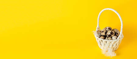 Banner with a white basket full of quail eggs and feather on bright yellow paper background with copy space, empty place for text. Easter holiday. Greeting card. Religious mockup design. Healthy food.の写真素材