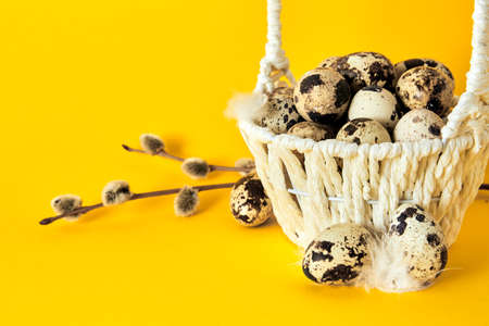 Banner with a white basket full of quail eggs, feather, branch of pussy willow on yellow paper background. Copy space. Empty place for text. Easter holiday card. Religious mockup design. Healthy food.の写真素材