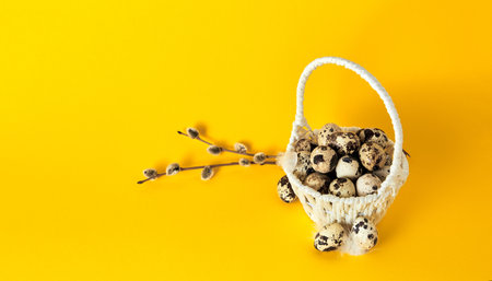 Banner with a white basket full of quail eggs, feather, branch of pussy willow on yellow paper...