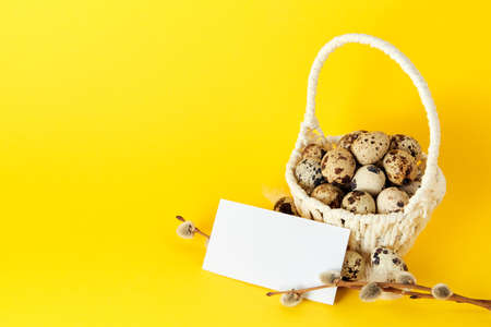 Visiting card, white straw basket full of quail eggs, pussy willow branch on yellow paper background with copy space. Empty text place. Mockup design of Easter holiday. Handmade decor. Healthy food.の写真素材